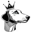 Canine Kingdom