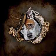 Carrie Southerton Dog Photography