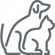 Cat and Dog World Kennels and Cattery