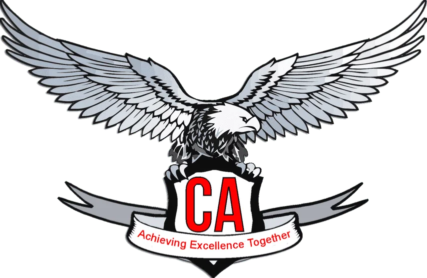 CA Test Series