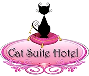 Cat Suite Hotel