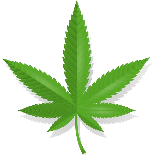 CALAO : CBD SHOP