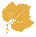 Champagne Terroir