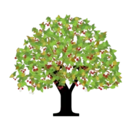 Cherry Tree Therapy Centre