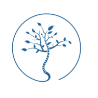 Chirohealth