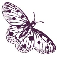 Chris Riley Psychic Medium