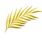 Cineasterna