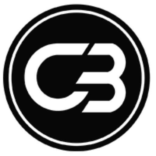 Buzizi DigiProfits