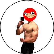 Coachlaganne