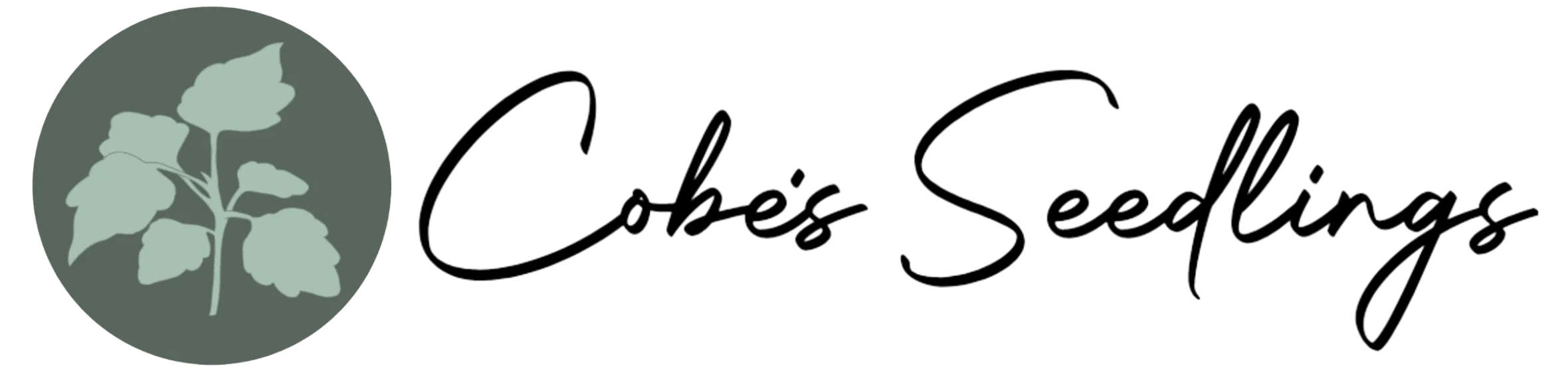 Cobe's Seedlings