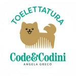 Code & Codini