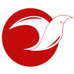 Creatofly Web Design Services