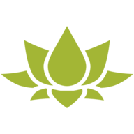 Credit Wellness