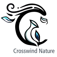 Crosswindstudios