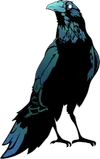 Crow Energy Ltd