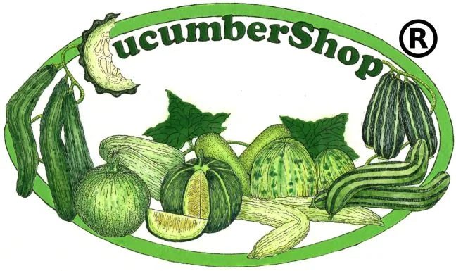 Cucumber Shop