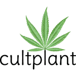 Cultplant CBD Hanfprodukte