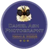 Daniel Ash Photography