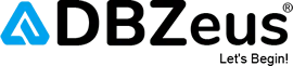 DBZeus Software Services