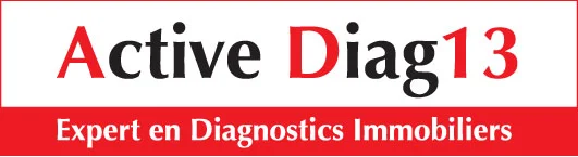 Active Diag 13