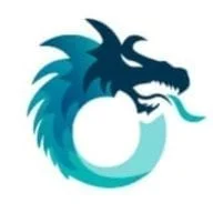 Dragon Information Systems