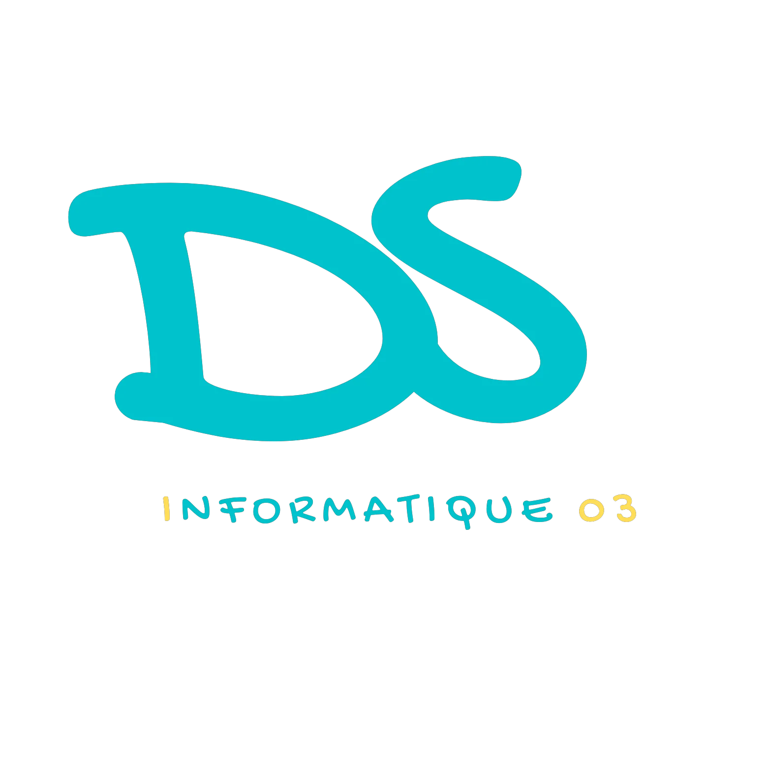 Ds informatique 03
