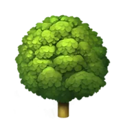Ecotone