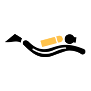 Edivingpass