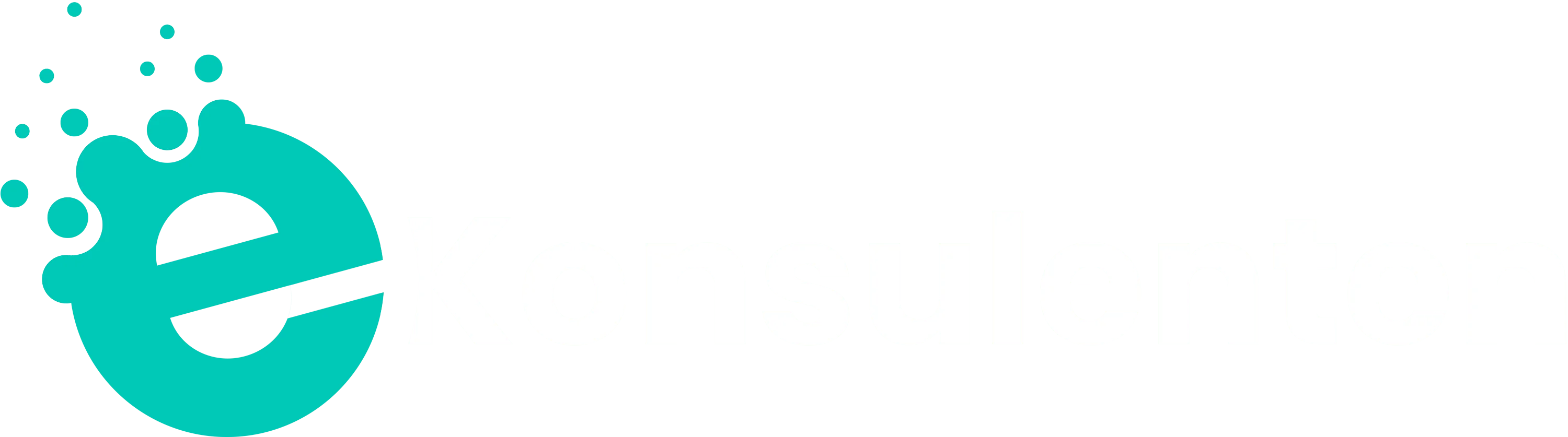 E-Konsulenten