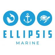 Ellipsis