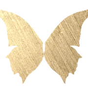 Enchanted Fairies
