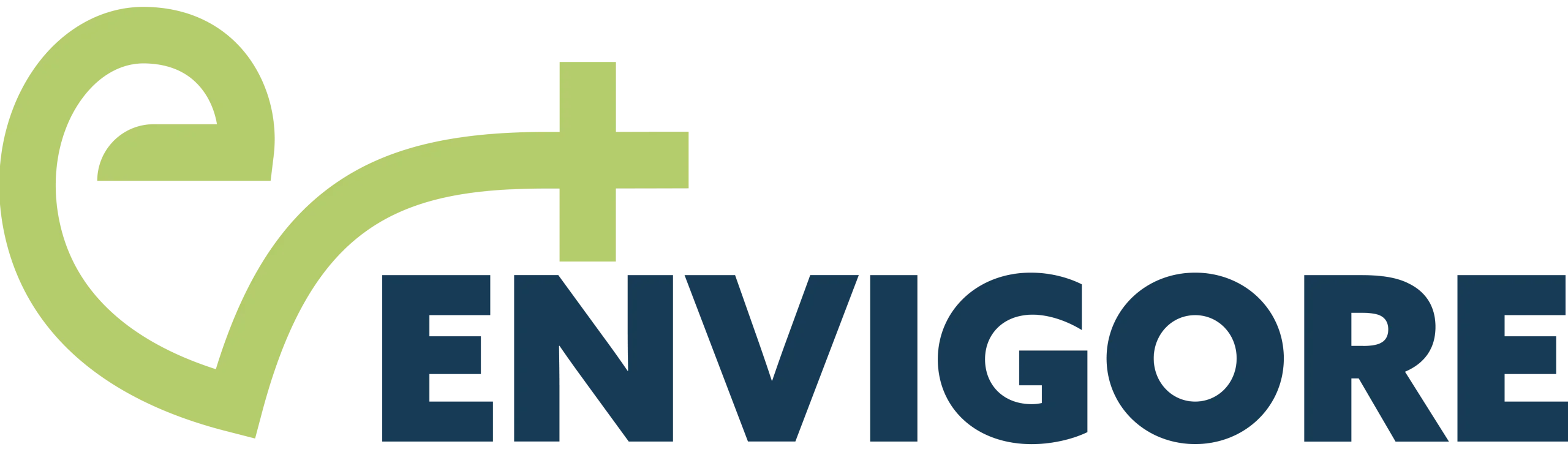 Envigore