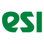 ESI Technology Ltd