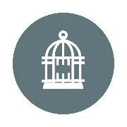 Eventcage