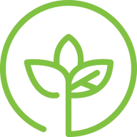 Evertree Vape Store