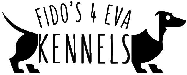 Fidos4evakennels
