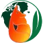 Filingfox (US LLC Formation)
