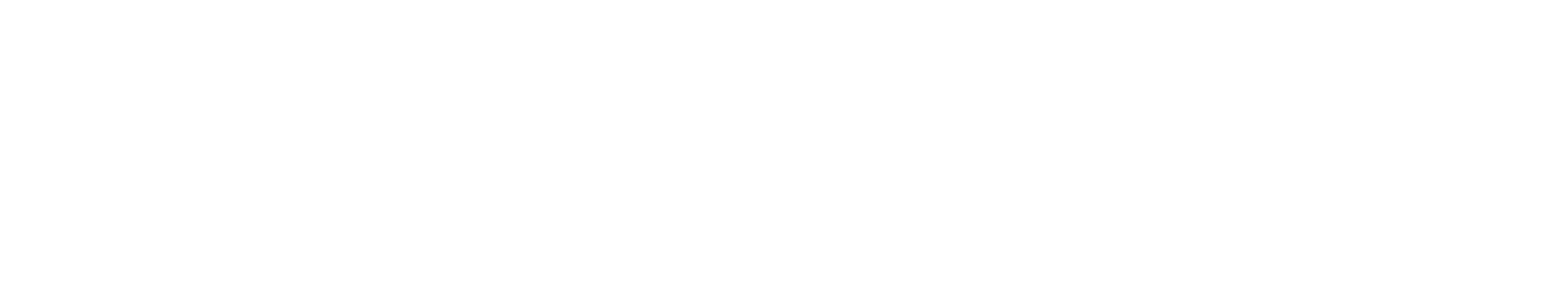 FIRSTCOMPANi