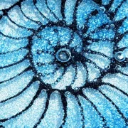 Stained Glass Workshops