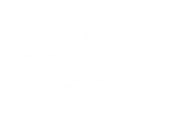 Got Capital