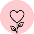 Gratitude School - Courses