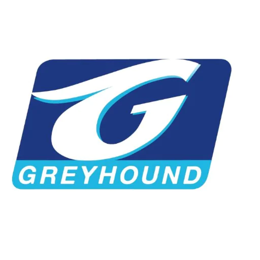 Greyhound