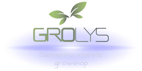 Gro Lys