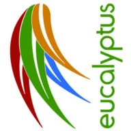 Hardy-eucalyptus