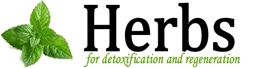 Herbsfordetox
