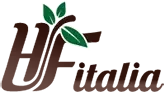 Hfitalia