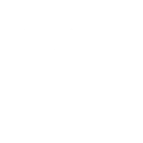Holistic Health Hive