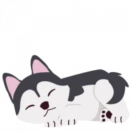 HUSKY DAYS