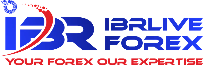 IBRLIVE INDIA PRIVATE LIMITED