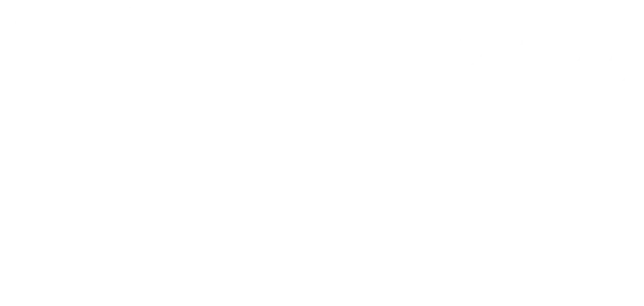 Bombay Palace Indian Restaurant